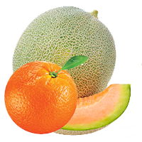 Orange cantaloup